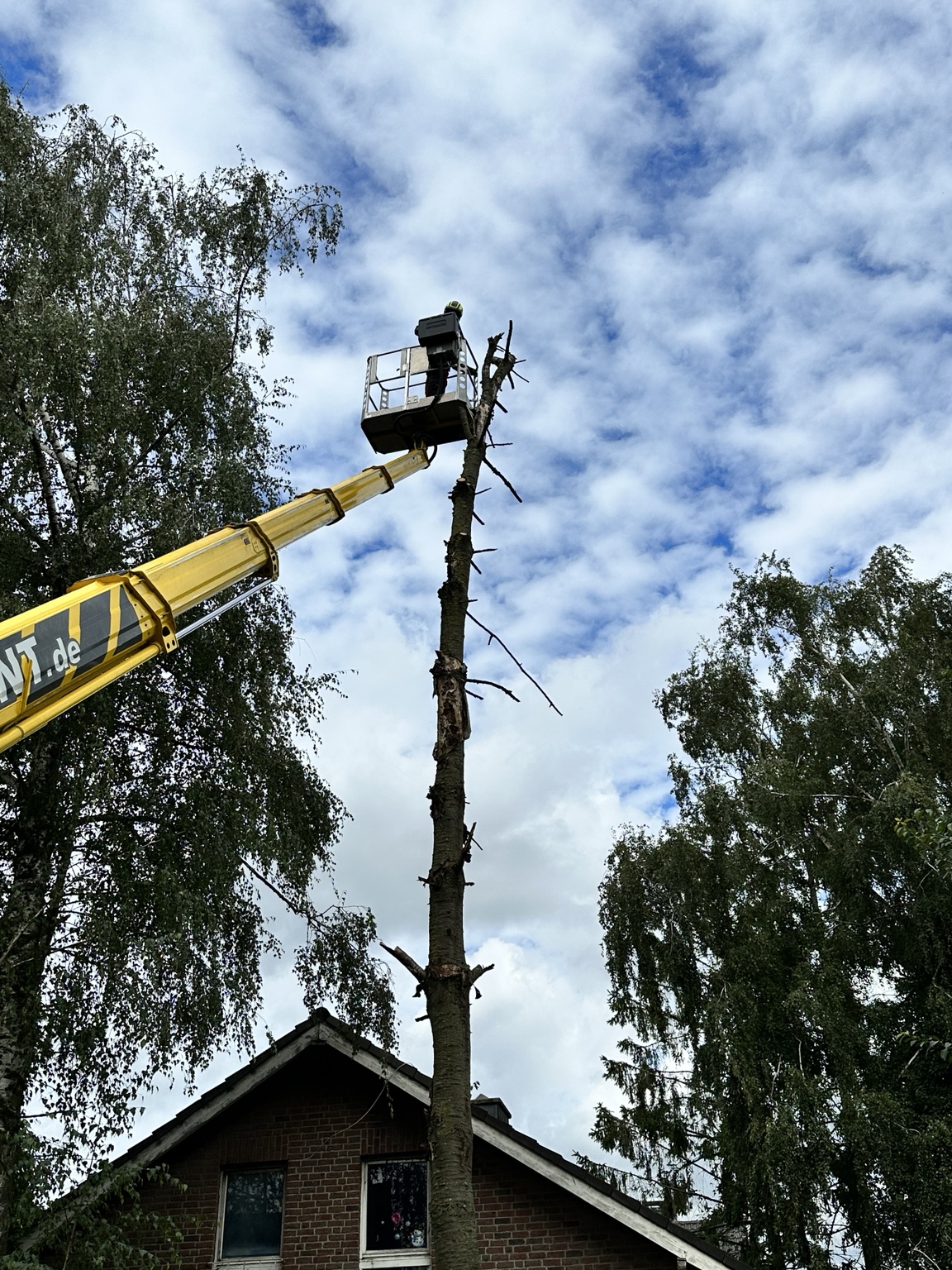 Baumarbeiten mit Kran