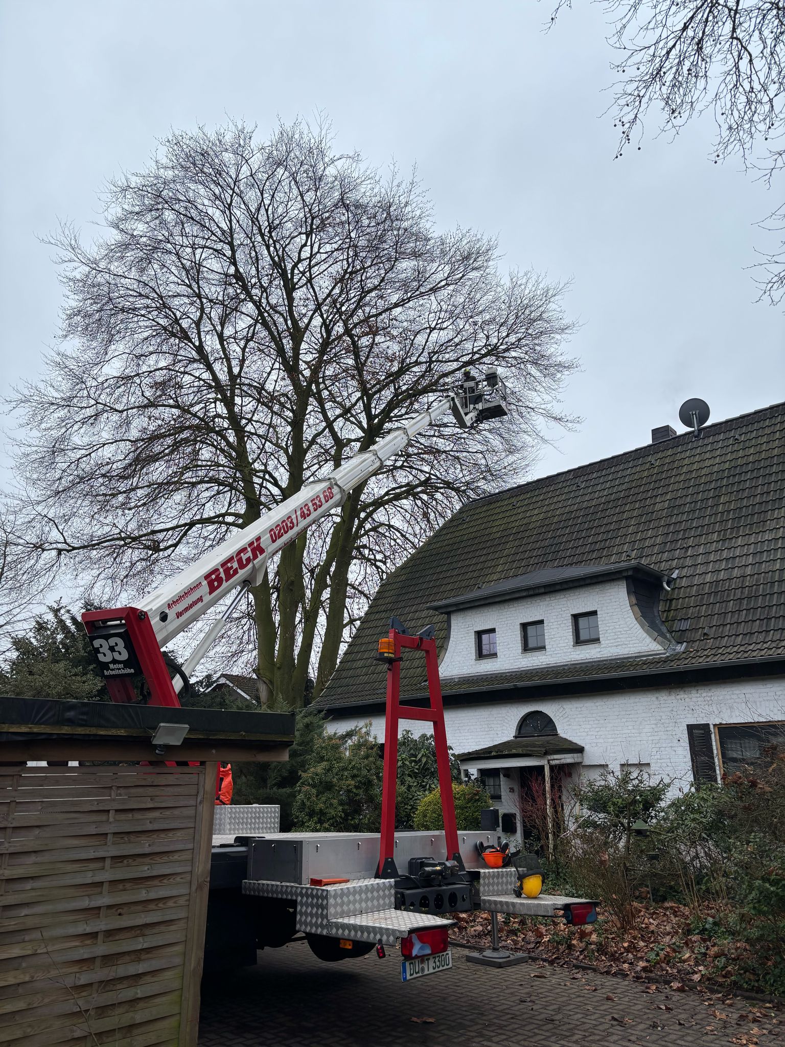Baumpflege mittels Hubsteiger an einem Wohnhaus